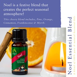 Absolute Aromas Noel Festive Essential Oil with Cinnamon, Clove, Frankincense, Orange, Myrrh and Pine Oil - Great for diffusing at Christmas (100ml)
