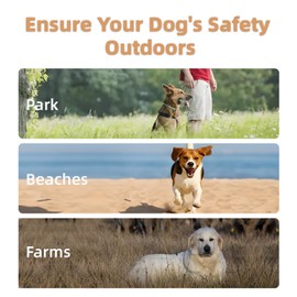 PETHEY GPS Invisible Dog Collar Fence,Wireless Electronic Dog Fence System, Chip Upgrade,Enhance and stabilize Signals,Suitable 15-110lbs Dogs, Radius from 25 to 999 Yards,Waterproof IPX7,Outdoor use