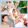 ZHWKMYP 10 Pcs Nasal Spray Bottle, 20ML/0.7OZ 6 Pcs Fine