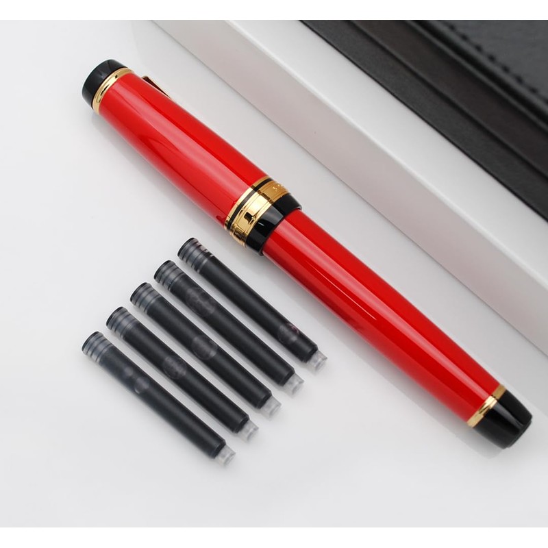 xixixiaozhu Metal Big Fountain Pen Set Medium Nib 0.7mm, Includes