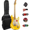 Electric Guitar Beginner Kit 39 Inch Full Size for Adult,Starter