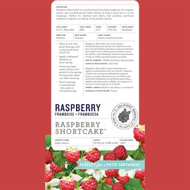Bushel & Berry 2 Gal. Raspberry Shortcake Raspberry Shrub
