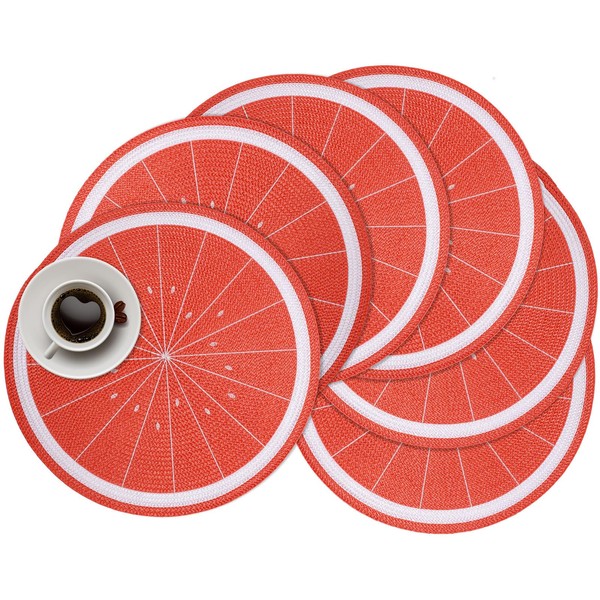 Zupro Round Placemats Set of 6,15inch Fruit Embroidered Table Mats