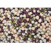 1/2 lbs Protein Bean Sprout Starter Seeds - Over 2000