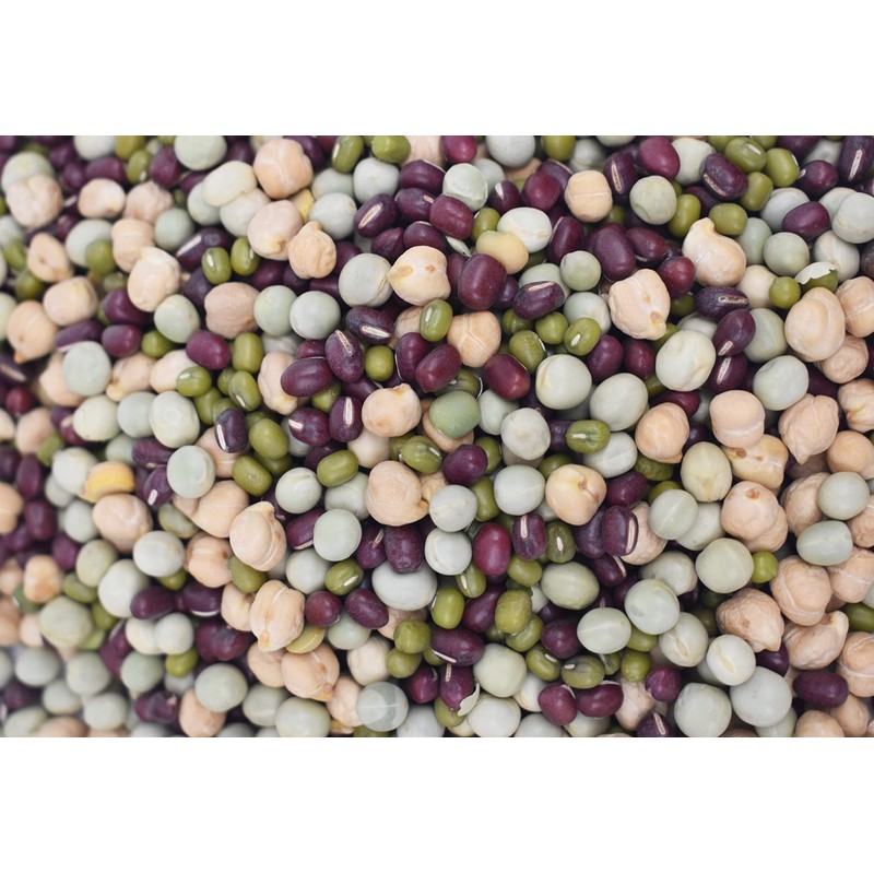 1/2 lbs Protein Bean Sprout Starter Seeds - Over 2000