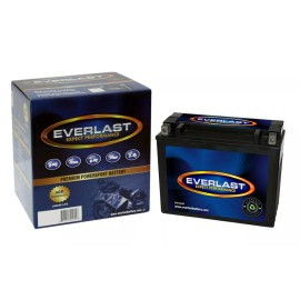 EVERLAST  CTX19-BS   - 12V AGM Sealed Maintenance-Fr