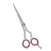 Nixcer Hair Scissors 6" - Fancy Hair Cutting Scissors Series