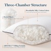 Feather Down Pillows Queen Size Set of 2, Luxury Hotel