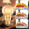 Vintage LED Edison Light Bulbs, A19 4W Dimmable Edison Bulbs,