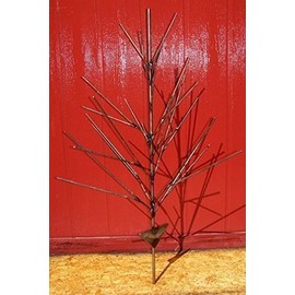 Christmas BOTTLE TREE ~ Holds 26 Wine Bottles ~ Yard Garden Decor Christmas Tree Style ~ 26 BOTTLE TREE ~ Yard & Garden wine bottle decor. Proudly Made in the USA ! ~ FREE SHIP (lower 48)