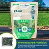 NutriPod for Palms – Precision Pre-Planting Fertilizer, Easy-to-Use Premeasured Nutrient