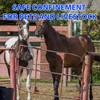 Gate Chain Lock with Carabiners Barn Chain Link 20'' Gate