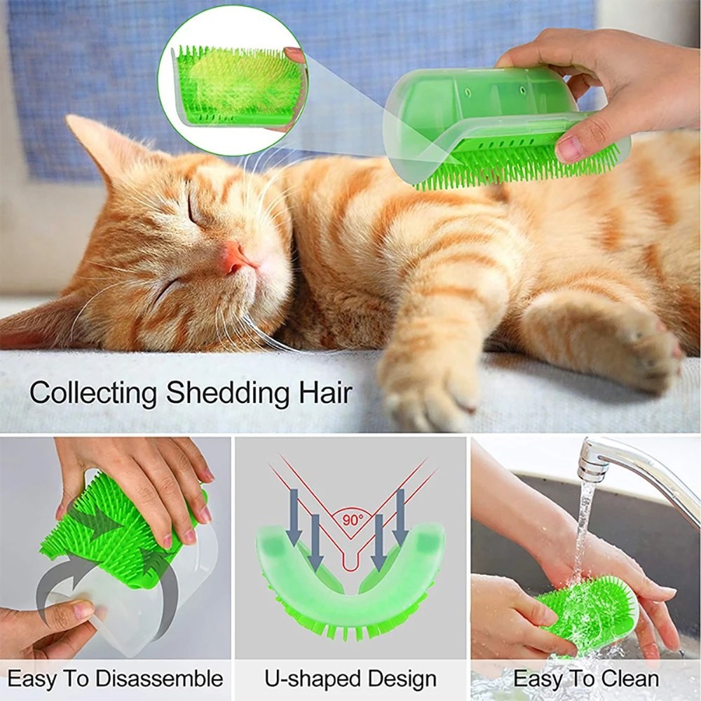 massage pet cat