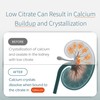 LithoLyte 10mEq | Water & Beverage Enhancer for Kidney Health