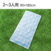 Asahi Koyo Leisure Sheet, Blue, Approx. Length 35.4 x Width