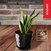 Kadax Decorative Flower Pot, for Flowers and Plants, with bottom