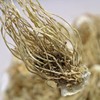 Chamdoori Chongbaek Green Onion Root 300g (domestic) / 참두리 총백