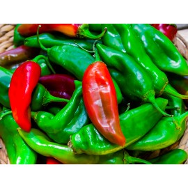 4 Cats and a Herd Farm 0.25 g New Mexico #6.  Hatch Type Chili. Non-GMO, OP/OG, Red or Green?