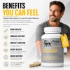 Vitamin D3 & K2 MK-7 for Men – 90 Capsules