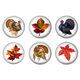 Thanksgiving Traditional Autumn Refrigerator Magnet Set