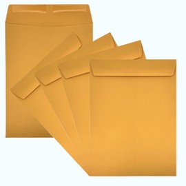 500 Cashier Depot 9" x 12" Catalog Envelope, Durable 28lb. Brown Kraft, Deep Gum Flap, Value Box, 500 Envelopes