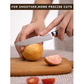 Geschickt Utility Knife, Kitchen Knife 4.5 inch Chef Knife Ultra Sharp Knife Forged from Precision High Carbon Stainless Steel, Pakkawood Handle, Professional Full Tang Vegetable Knife