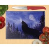 01 Chopping Board / Glass Chopping Board 20 x 28