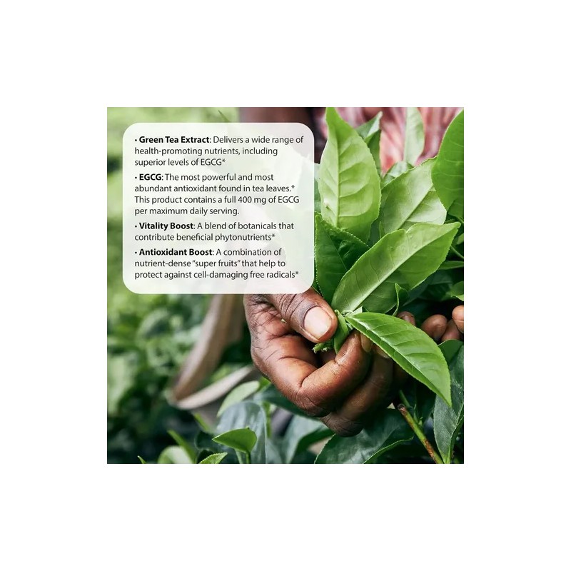 Applie Nutrition Quemador De Grasa De Te Verde 90 Softgels