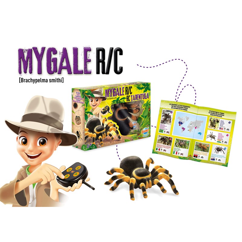 BUKI France Tarentula Remote Control Scientific Toys