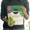 Miracle-Gro Succulent Potting Mix, For Indoor Succulents, Aloe Vera and