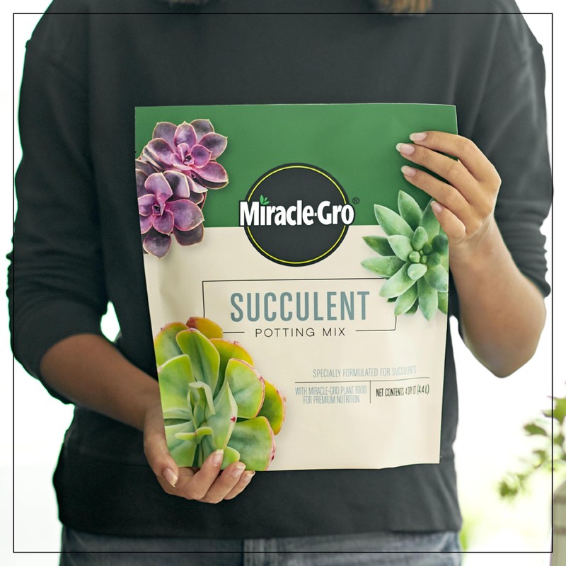 Miracle-Gro Succulent Potting Mix, For Indoor Succulents, Aloe Vera and