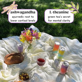 Moment Adaptogen Drink (Shark Tank) | NON-CARBONATED Non Alcoholic Drinks | Blueberry Ginger | L-Theanine & Ashwagandha for Calm & Clarity | 0 Added Sugar, 0 Caffeine | 12-pack