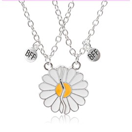 Cosysparks Bff Chains for 2, Bff Gifts Daisy Magnetic Friendship Nnecklace Matching Necklaces for Women and Girls, One size, Stainless Steel, No Gemstone