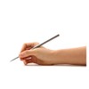 Great Inkless Ballpoint Pen from Napkin Forever