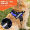Essential Dog Harness, No Pull Pet Harness with 3 Side