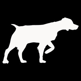 Express Yourself Products Brittany Spaniel Pointing (White - Reverse Image - Small) Decal Sticker - Hunting Dog Collection