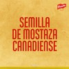 French's Mostaza con Miel 340 g