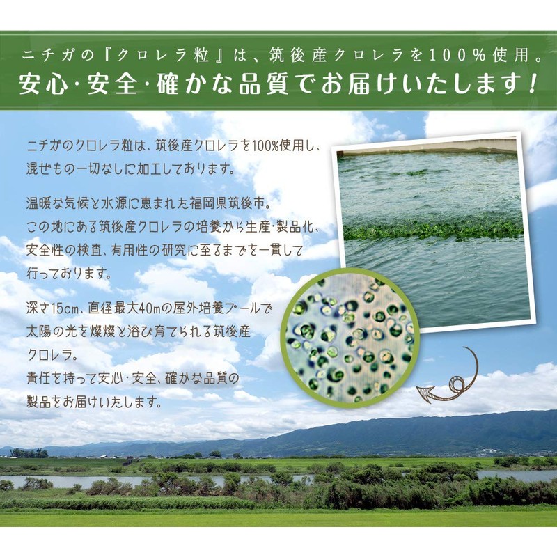 Nichiga Chlorella 100% Pure Japan, 8.8 oz (250 g), Additive-free,