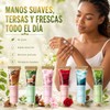 Crema Manos Hidratante, Crema para Manos 12 PCS