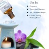 Abbey & Sullivan Fragrance Oil, Egyptian Musk, 1 oz.