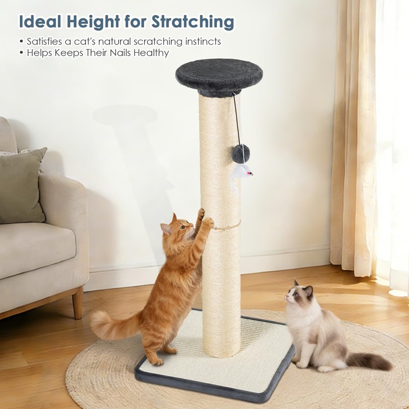 PAWALAYA Heavy Duty Post Sturdy Cat Scratching Post for Indoor