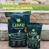 First Saturday Lime Insect Repellent - 20 LB Bag -
