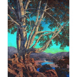 Old White Birch, Maxfield Parrish, 16" X 20" Art Nouveau giclee print