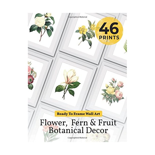 Ready to Frame Wall Art: Flower, Fern & Fruit Botanical