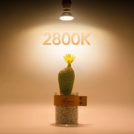 wowatt wowatt 10W GU10 LED Warmweiss 2800K Ersetzt 120W Halogenlampe Leuchtmittel GU10 1000LM Hell Birne Flimmerfrei LED Lampe GU10 Strahler 230V Abstrahwinkel 120 Glhbirne Spot GU10 Nicht Dimmbar 6 Stck