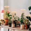 LED Plant Grow Light 5 Dimmable Modes 4 Head Timing
