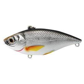 LIVE TARGET GS70SK211 Golden Shiner Lipless Rattlebait, 2 7/8", 6 Hook, Multi, One Size
