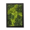 comforder Rectangular Real Moss Wall Art Picture 6.7x 9.4”/ 17x24cm,