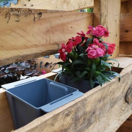Geli Easy Euro Pallet Planter L 10 x W 10 x H 10 cm