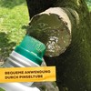 Solabiol Tree Wound Wax, Ready-to-Use Wound Fastener for Fruit Trees